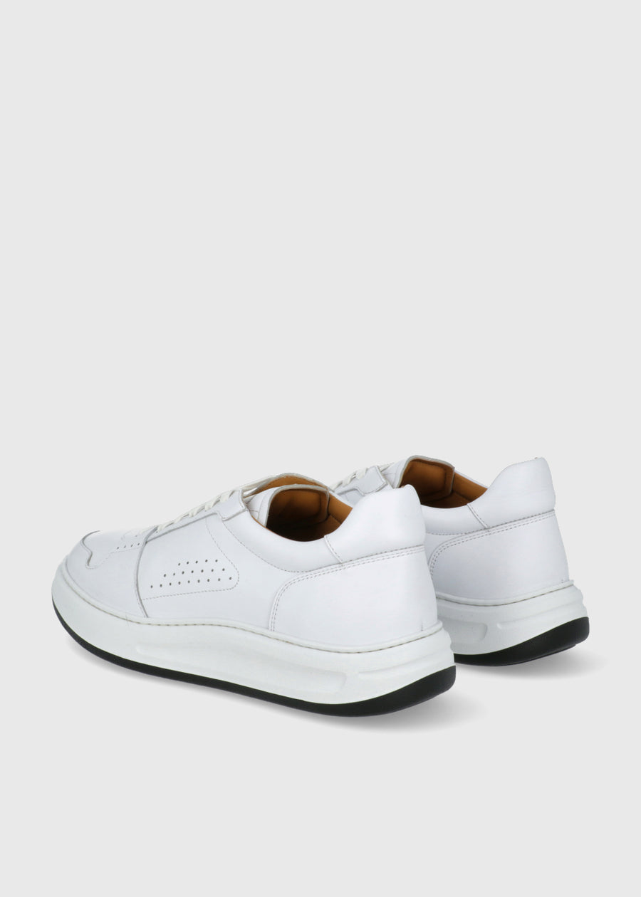 Magnanni Sneakers MGN-25861