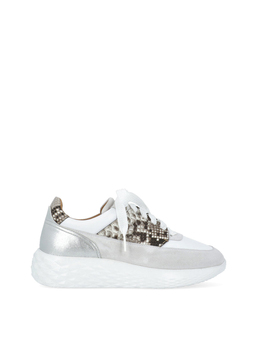Magnanni Sneakers MGN-ZD24259