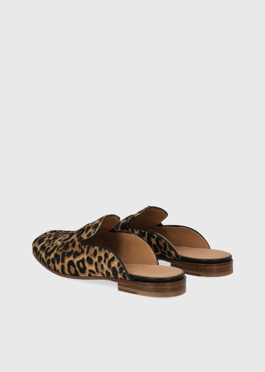 Magnanni Mules Bella MGN-ZD26377