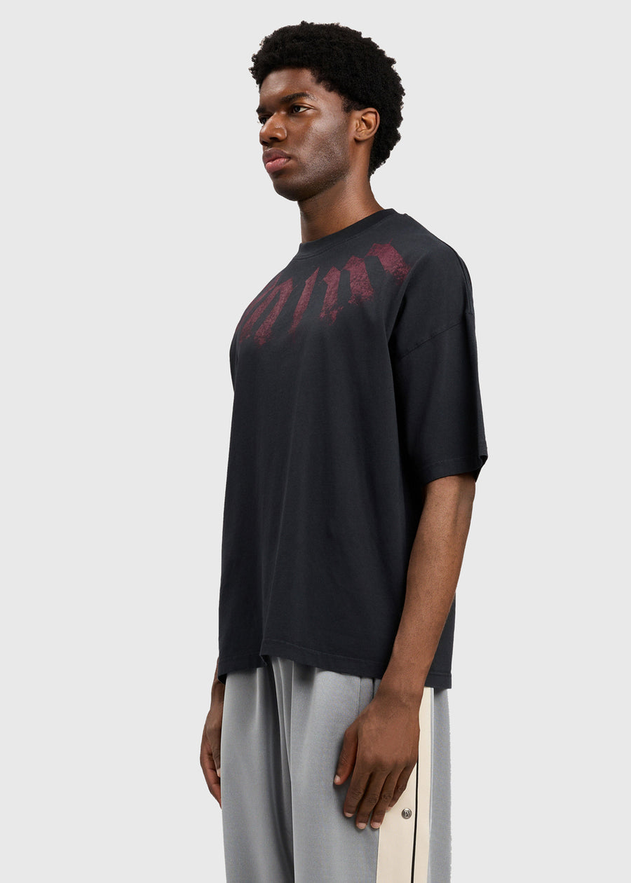 PALM ANGELS Camiseta PNG-PMAA10DS