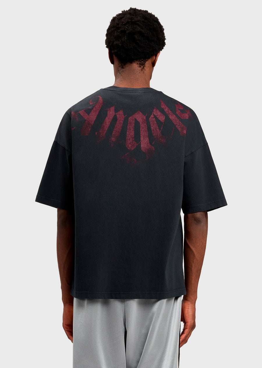 PALM ANGELS Camiseta PNG-PMAA10DS