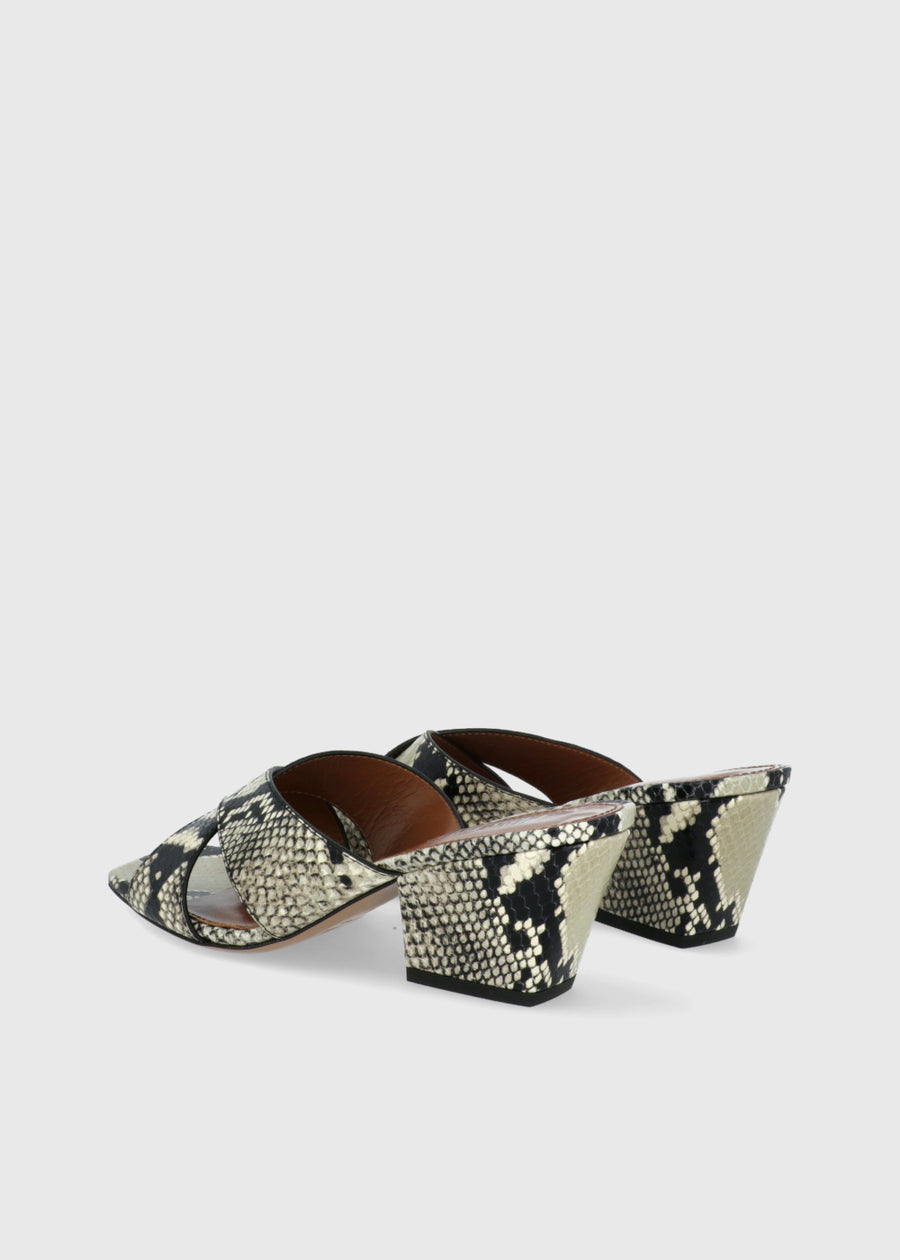 PARIS TEXAS Mules Arizona PTX-PX1272
