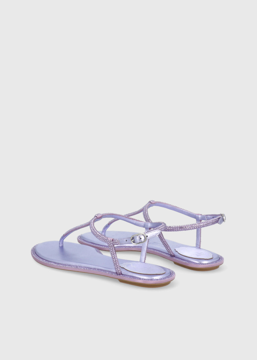 RENE CAOVILLA Sandalia diana RNC-11574