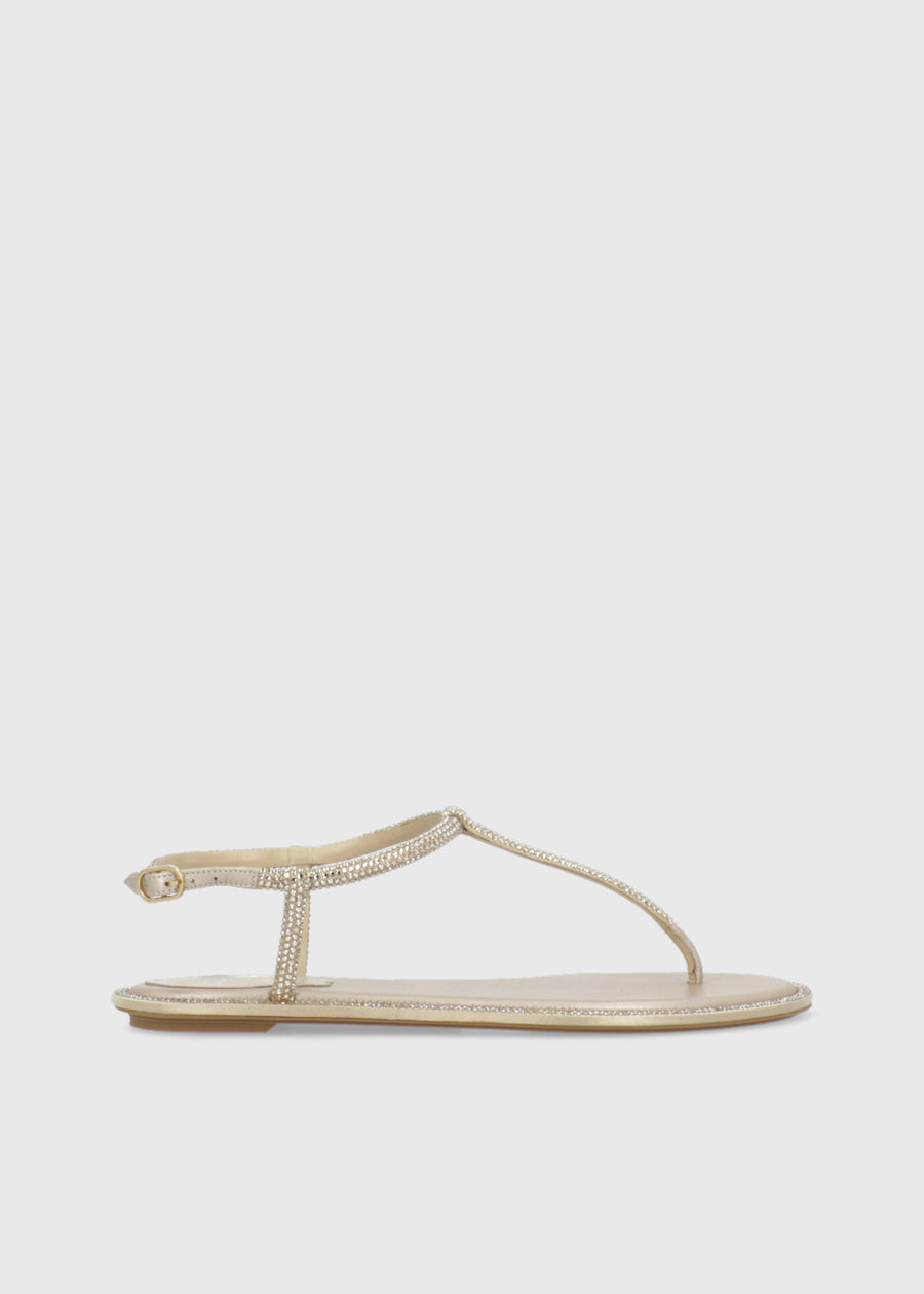 RENE CAOVILLA Sandalia diana RNC-11574