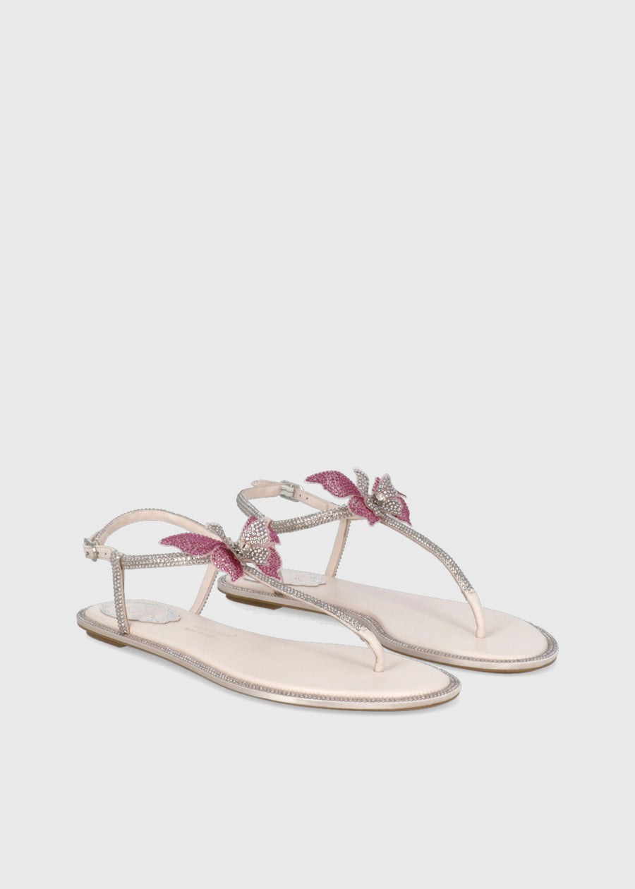 René Caovilla Sandalia FAIRY PINK RNC-12495