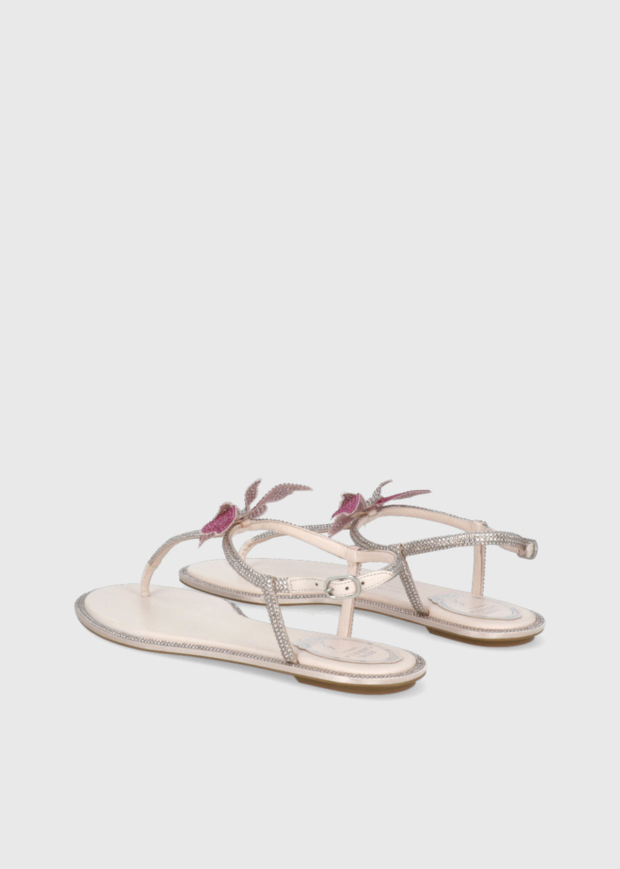 René Caovilla Sandalia FAIRY PINK RNC-12495