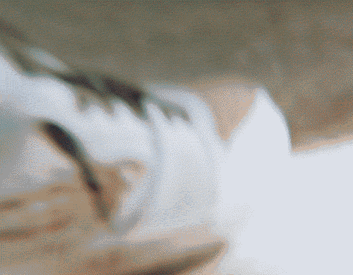 TODOS LOS ARTÍCULOS