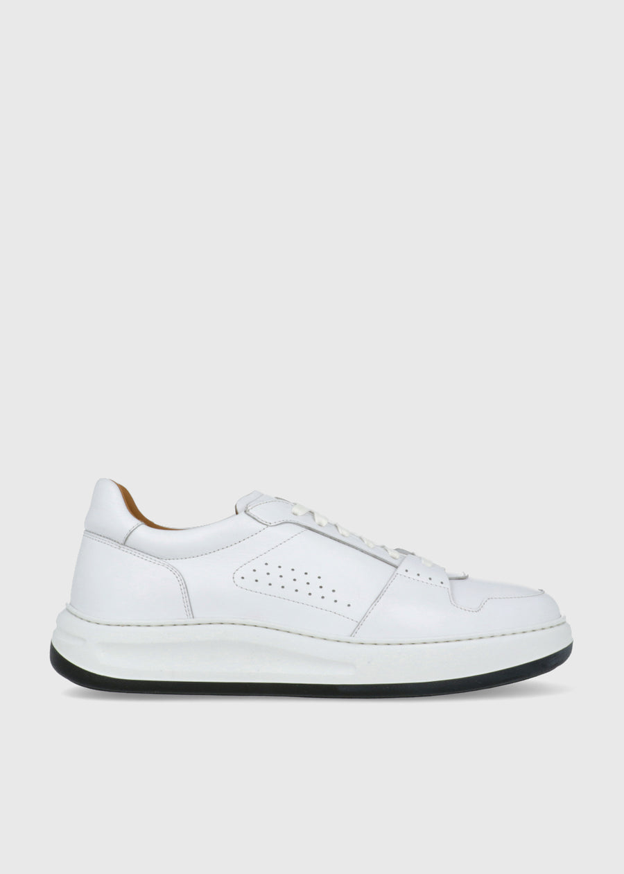 Magnanni Sneakers  MGN-25861