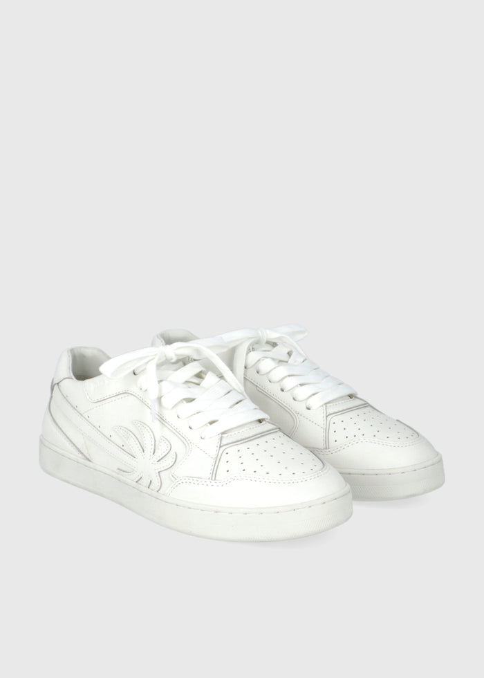 PALM ANGELS Sneakers New Palms PNG-PMIA099S