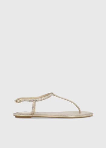 RENE CAOVILLA Sandalia diana RNC-11574